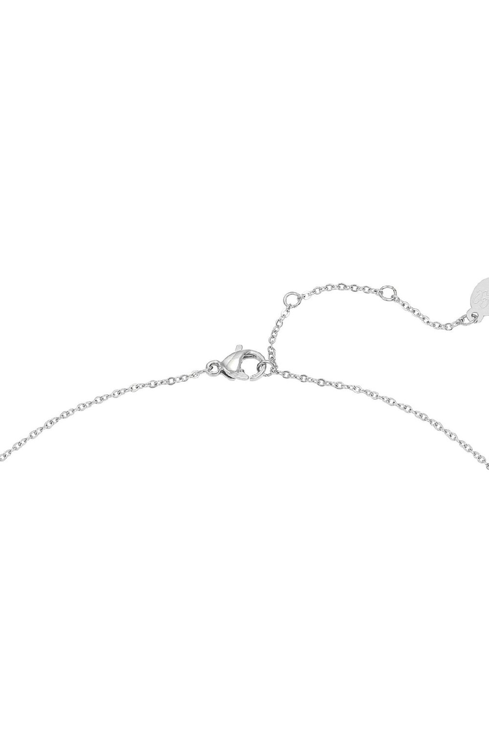 Necklace Shining Eye Argenté Acier inoxydable h5Image3